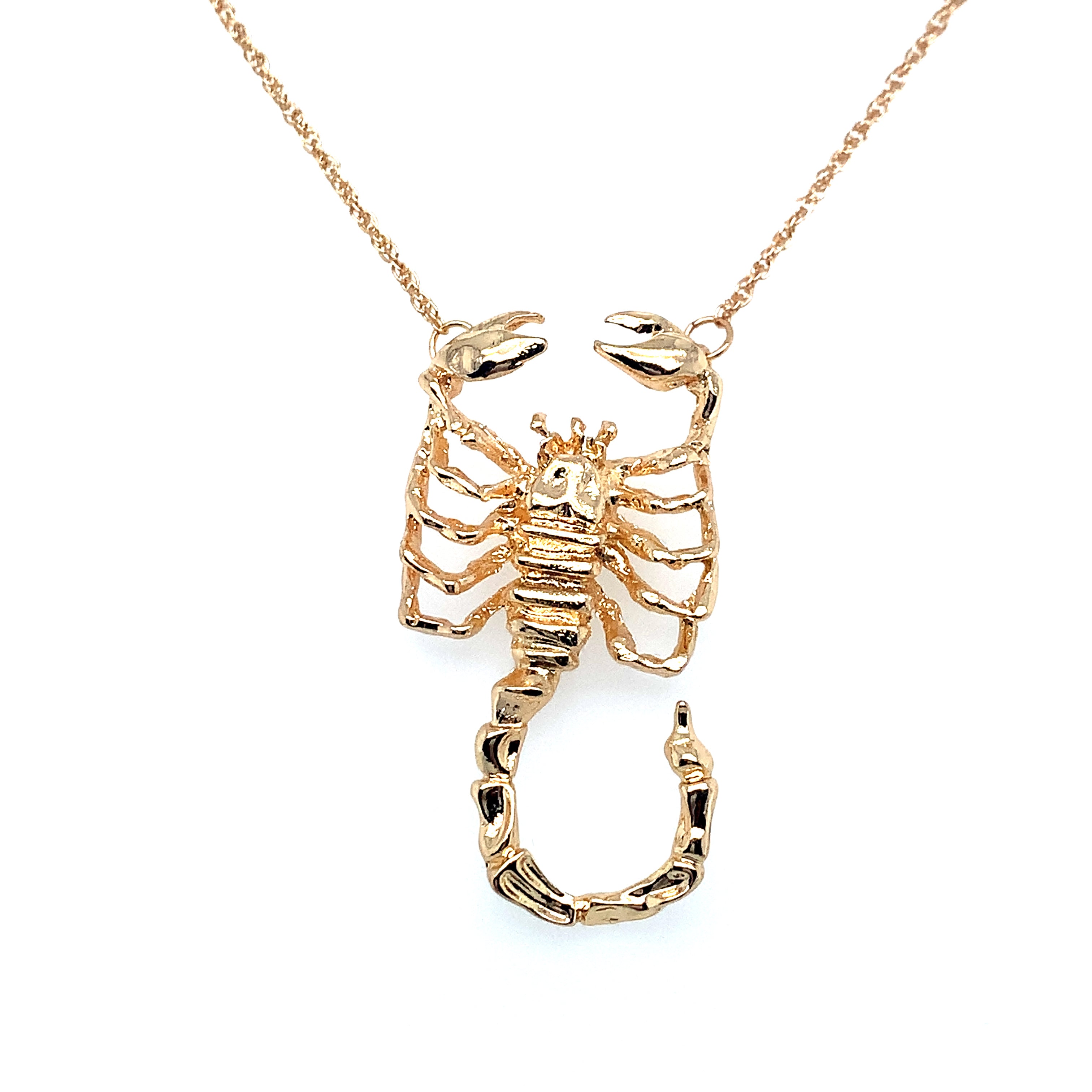 ♏ Scorpio (Scorpion) Necklace