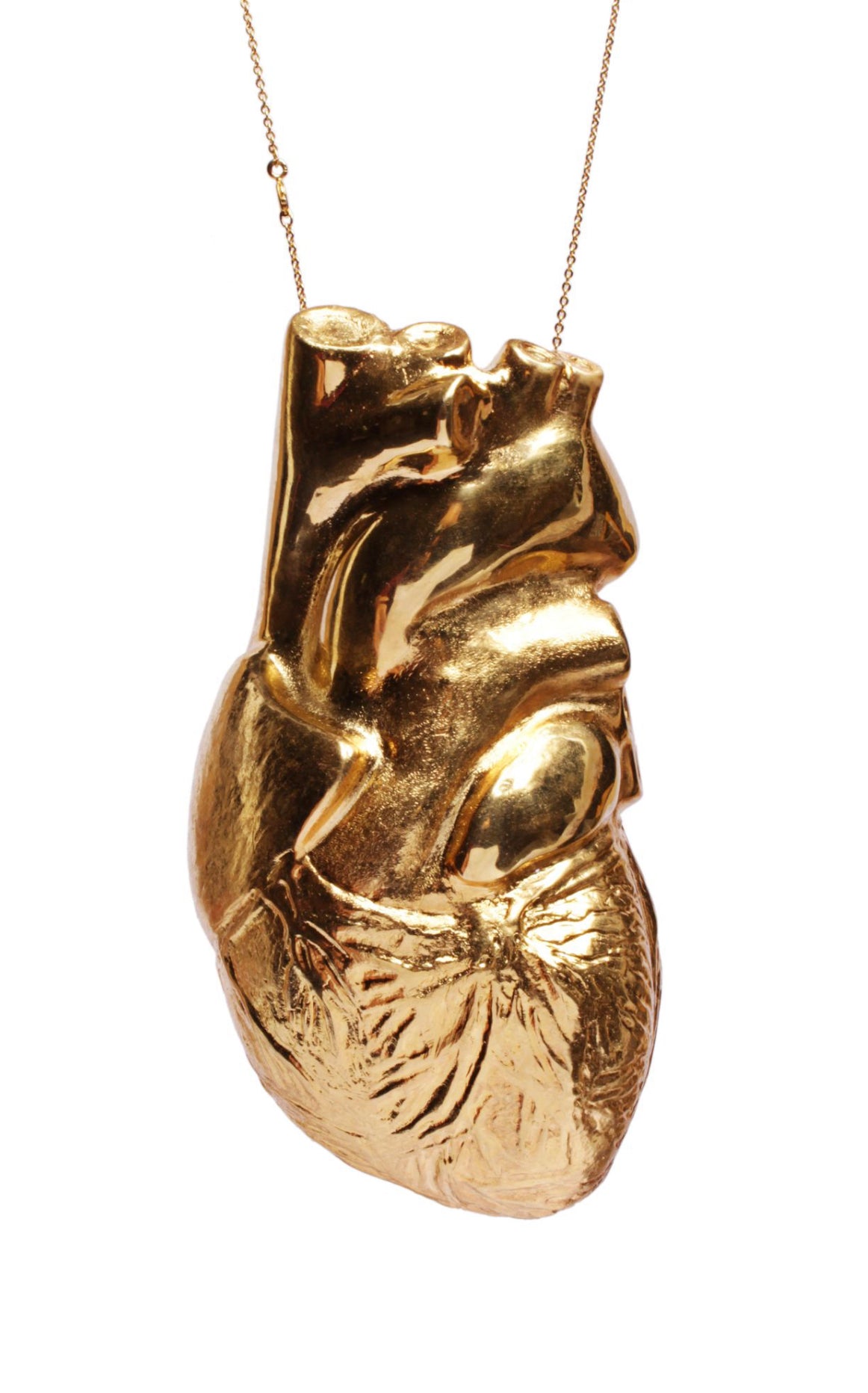 Anatomical heart necklace