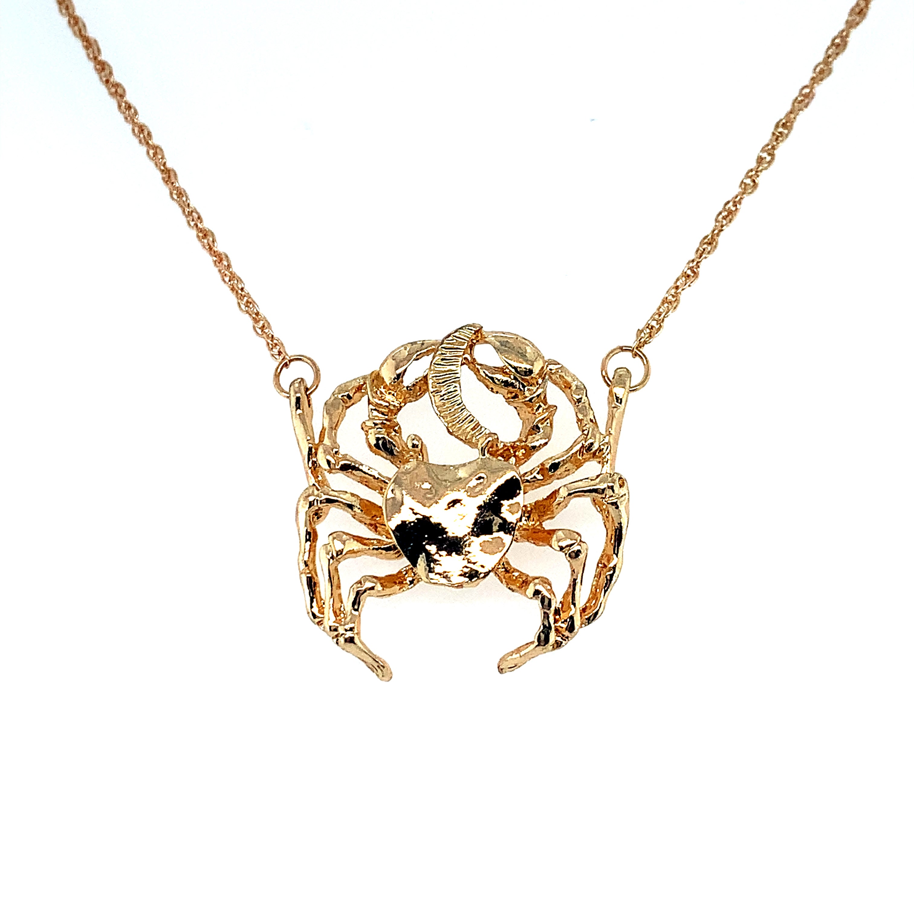 The Black Bow 14k Yellow Gold Moveable Horseshoe Crab Necklace - 20 Inch -  Walmart.com