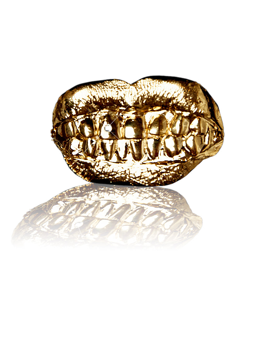 Show me Your Grillz! Brooch/Lapel Pin